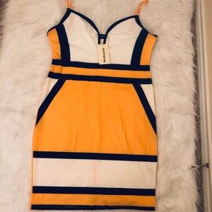 NWT Backless Knee Dress Bodycon